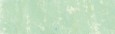 351 Cinereous Green, Pastel Pencil Sennelier