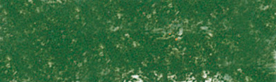 913 Forest Green, Pastel Pencil Sennelier