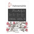 Blok Nostalgie Hahnemuhle,190 g/m², 25 ark. A1