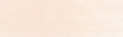 310.8 PanPastel Vermilion Tint 9 ml