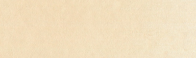 710.8 PanPastel Raw Sienna Tint 9 ml