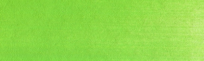 690.5 PanPastel Yellow Green 9 ml
