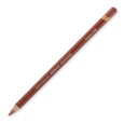 6220 Sanguine, DRAWING Derwent