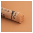 010 Red brown, pastel sucha a l' ecu Sennelier