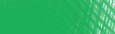 008 Light green, pastel w kredce Conté a Paris
