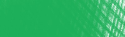 008 Light green, pastel w kredce Conté a Paris