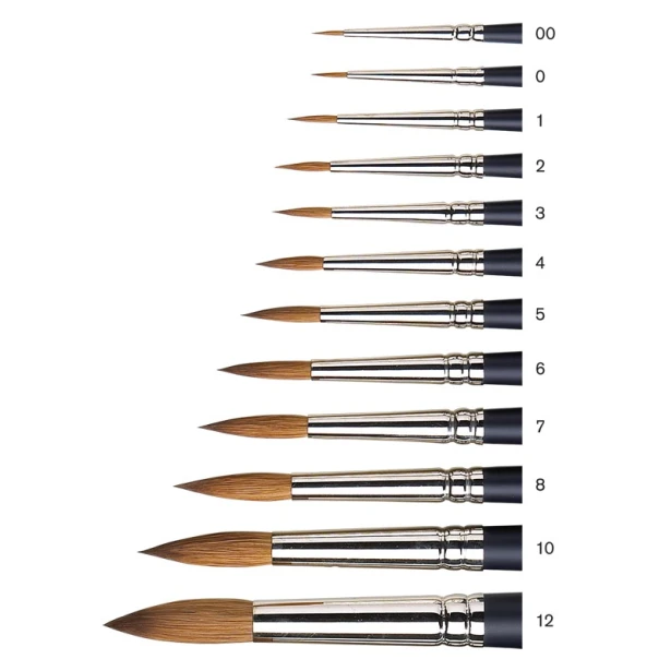 Round Professional nr 8 W&amp;N