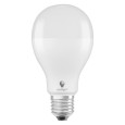 Żarówka energooszczędna 19 W Daylight