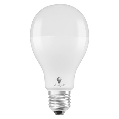 Żarówka energooszczędna 19 W Daylight