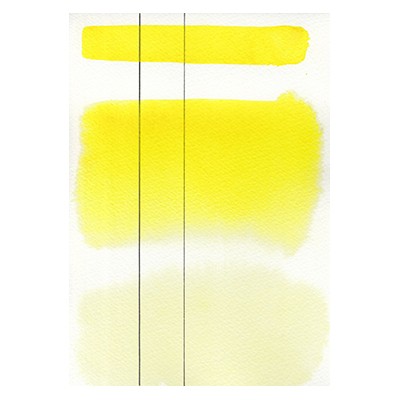 Aquarius 204 Lemon Yellow, akwarela Szmal