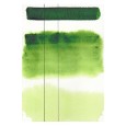 Aquarius 233 Sap Green, akwarela Szmal