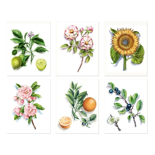 Blok do akwareli ze szkicami Botanics, 24 x 30 cm, 15 ark.
