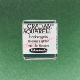 521 Hooker's Green, akwarela półkostka Horadam Schmincke