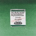 515 Olive Green, akwarela półkostka Horadam Schmincke