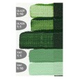 2195 Jenkins Green, Golden Fluid 30 ml