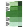 2060 Chromium Oxide Green, Golden Fluid 30 ml