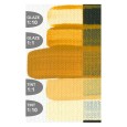 2407 Yellow Ochre, Golden Fluid 30 ml