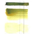 Aquarius 363 Autumn Green, akwarela półkostka Szmal