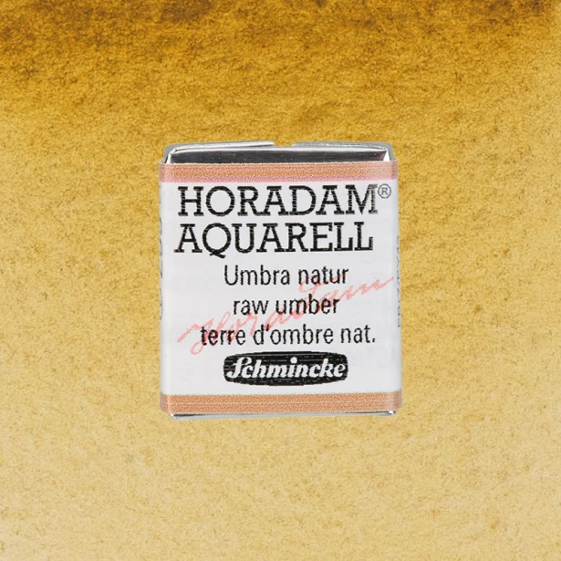 667 Raw Umber, akwarela półkostka Horadam Schmincke