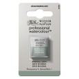 427 Mineral Grey, akwarela Professional, półkostka