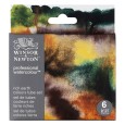 Rich Earth Colours, akwarele Professional W&amp;N, 6 x 5 ml
