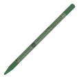 199 Leaf Green, Pastel Pencil Sennelier