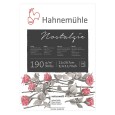 Blok Nostalgie Hahnemuhle,190 g/m², 25 ark. A1