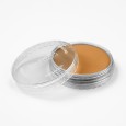 710.5 PanPastel Raw Sienna 9 ml
