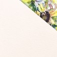 Papier do akwareli Premium A3, 280 g/m², 5 ark.