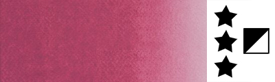 793 pale rose akwarela rosa