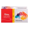 rosa-gallery-spectrum-21kolorow.webp